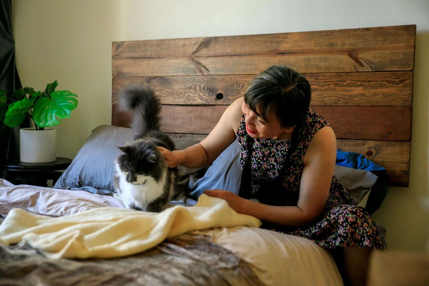 cat litter comprehensive guide