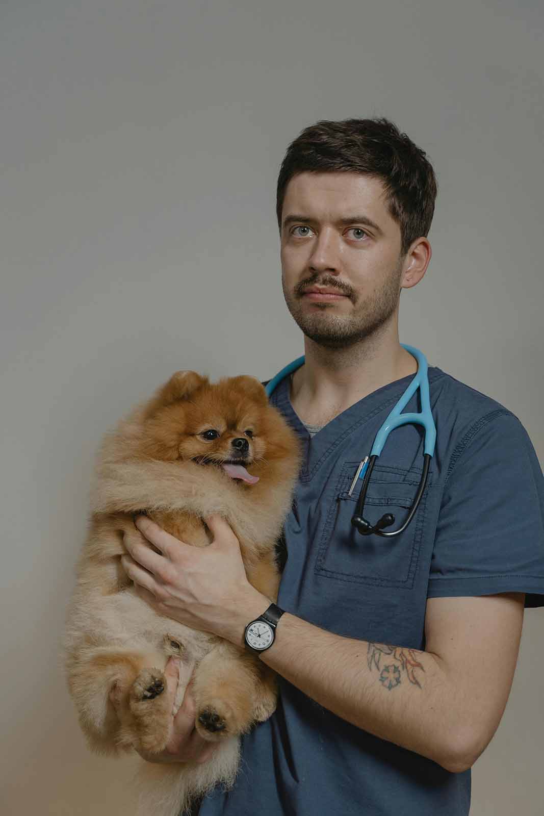 Why Flea and Tick Prevention Matters
