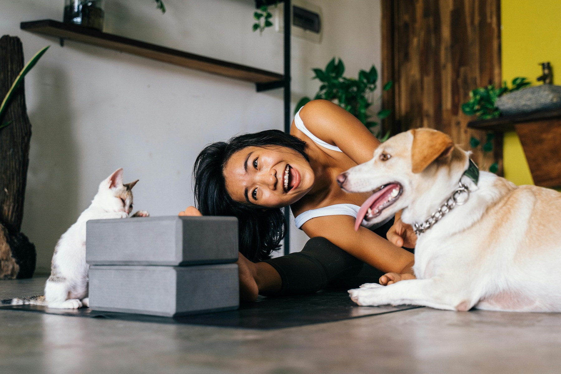 online pet supplies singapore
