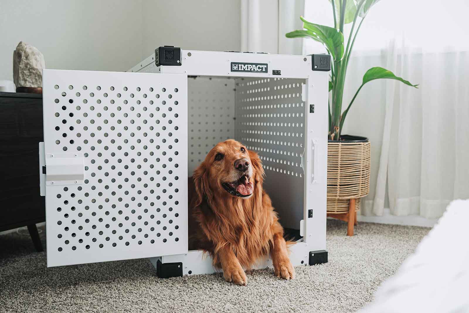 Buying pet supplies online has become increasingly popular and offers numerous advantages that make it a smart choice for pet owners.